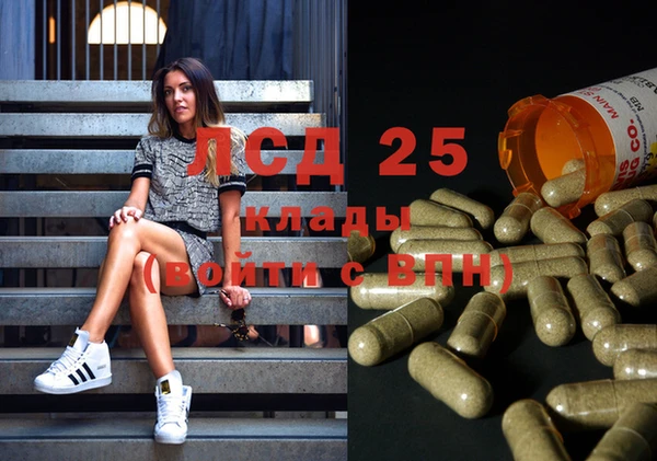 spice Корсаков