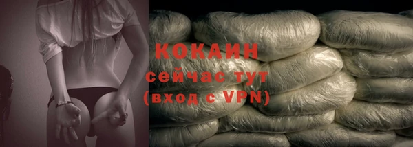 шишки Кукмор
