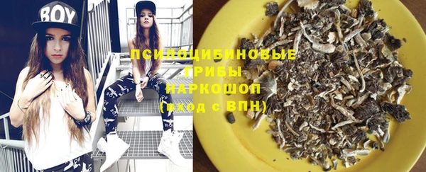 шишки Кукмор