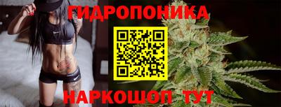 дмт Кимры