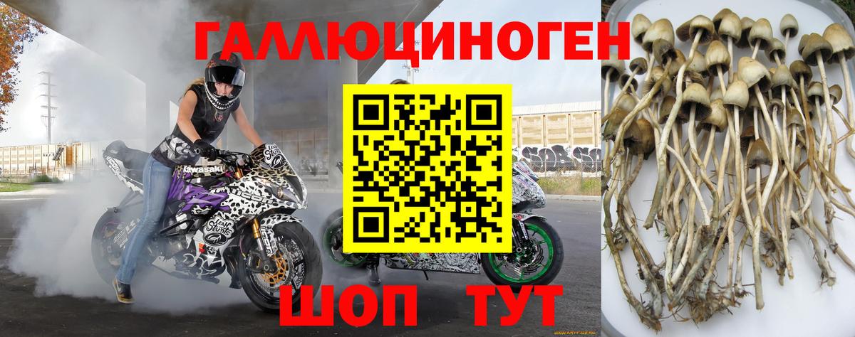 Лабытнанги  Галлюциногенные грибы мицелий  хочу наркоту  Вход с VPN  Галлюциногенные грибы Psilocybe 
