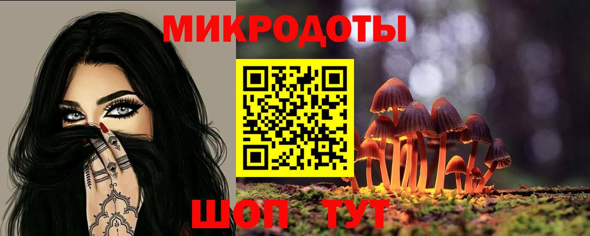 Псилоцибиновые грибы Cubensis Лабытнанги